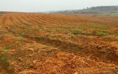 土壤養(yǎng)分速測(cè)儀讓我們科學(xué)種植