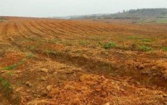 土壤重金屬檢測儀器應(yīng)用的意義