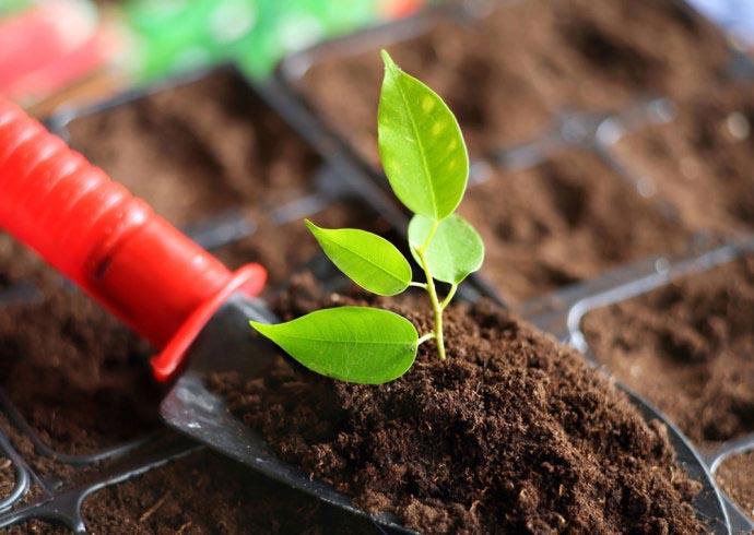 土壤養(yǎng)分速測儀 土壤養(yǎng)分速測儀