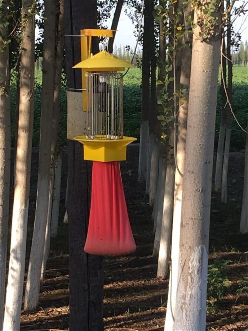 太陽能殺蟲燈 太陽能殺蟲燈