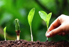 現(xiàn)代果園管理中高智能土壤養(yǎng)分檢測儀的作用！