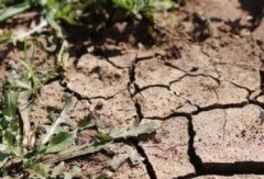 土壤養(yǎng)分檢測儀“拯救”糟糕的土壤狀況