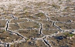 土壤肥料養(yǎng)分檢測儀為農(nóng)業(yè)“減肥增效”提供支