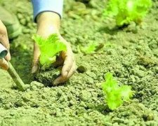 土壤養(yǎng)分速測儀助力特色農(nóng)業(yè)發(fā)展