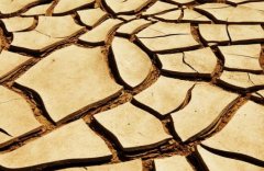 土壤水分檢測儀促進(jìn)節(jié)水農(nóng)業(yè)發(fā)展