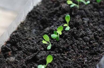 測土配方施肥儀