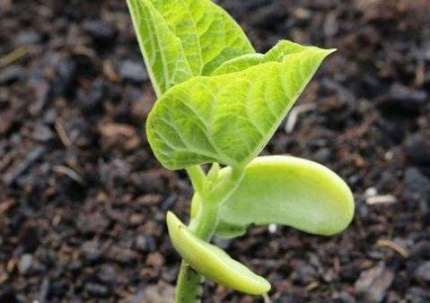 測土配方施肥儀 測土配方施肥儀