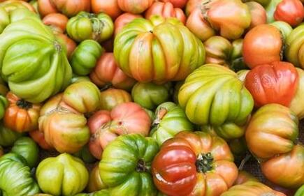 肥料養(yǎng)分檢測儀