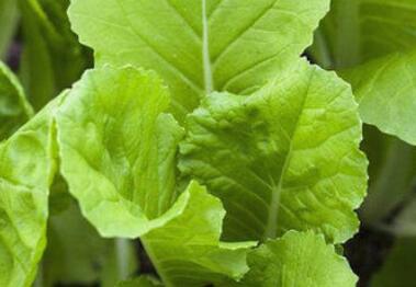 土壤重金屬測定儀 土壤重金屬測定儀