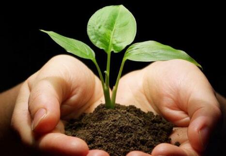 肥料養(yǎng)分測(cè)試儀 肥料養(yǎng)分測(cè)試儀