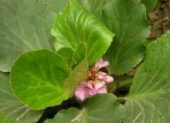 避免土壤污染需要用到土壤養(yǎng)分檢測儀