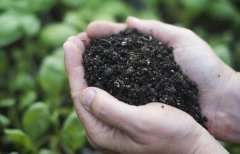 利用什么儀器可以檢測(cè)化肥的品質(zhì)？