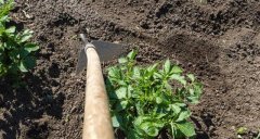 農民依靠土壤測試儀器實現(xiàn)科學種植