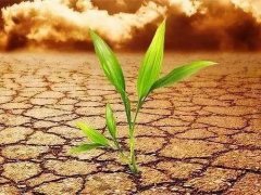 測土配方施肥儀得到廣泛應(yīng)用