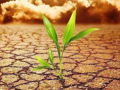 1628576615919301.jpg 14.jpg