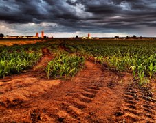 土壤肥料養(yǎng)分檢測儀價格合理 選擇云唐智能科技