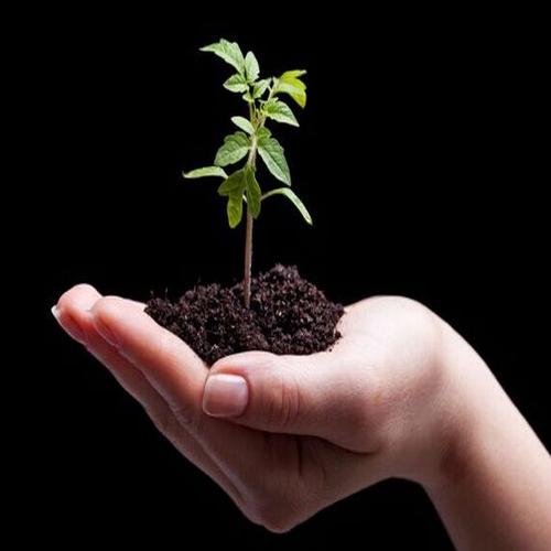 土壤肥料養(yǎng)分速測(cè)儀 土壤肥料養(yǎng)分速測(cè)儀