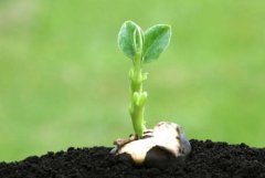 土壤養(yǎng)分檢測(cè)儀品牌哪家好？