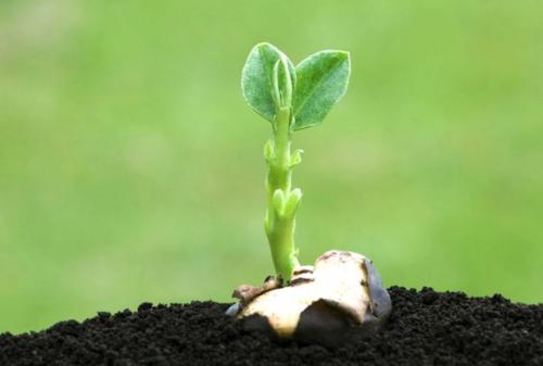 土壤養(yǎng)分檢測儀 土壤養(yǎng)分檢測儀