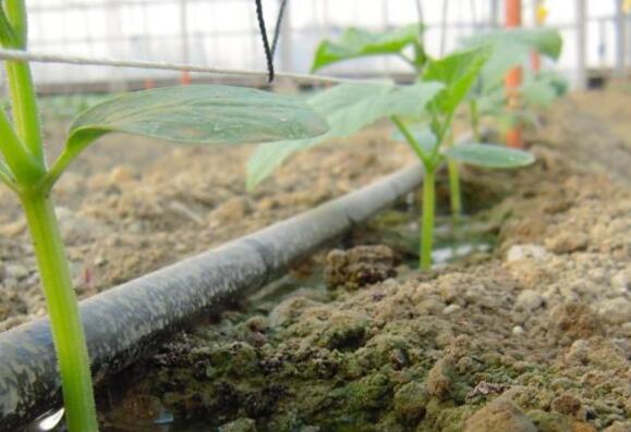 土壤微量元素測(cè)定儀