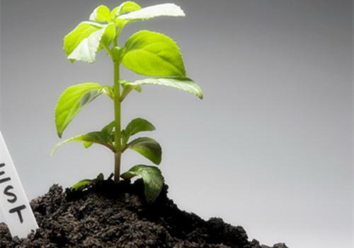 測(cè)土配方施肥儀 測(cè)土配方施肥儀