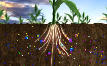 肥料養(yǎng)分測試儀 肥料養(yǎng)分測試儀